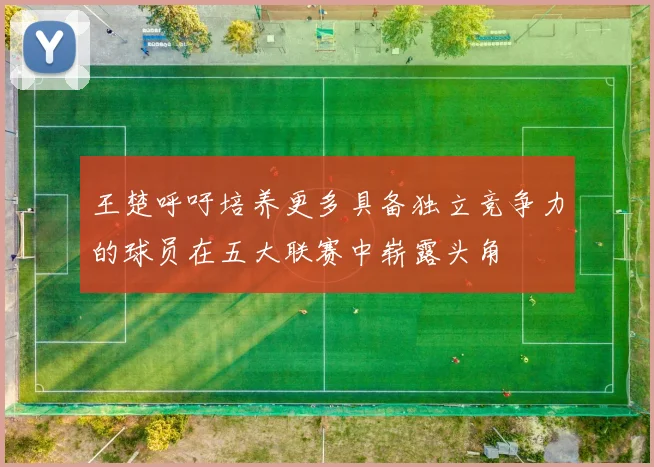 王楚呼吁培养更多具备独立竞争力的球员在五大联赛中崭露头角
