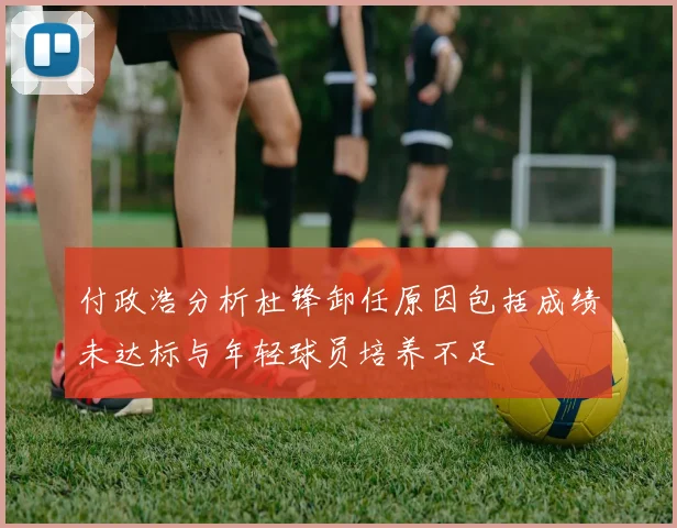 付政浩分析杜锋卸任原因包括成绩未达标与年轻球员培养不足