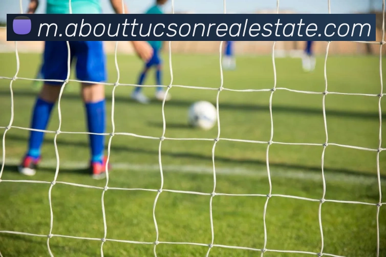 奖项证书